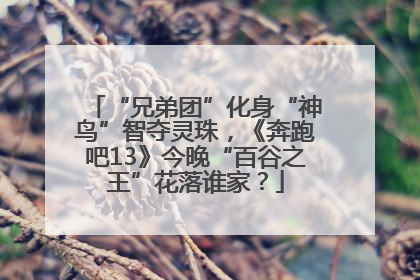 “兄弟团”化身“神鸟”智夺灵珠，《奔跑吧13》今晚“百谷之王”花落谁家？